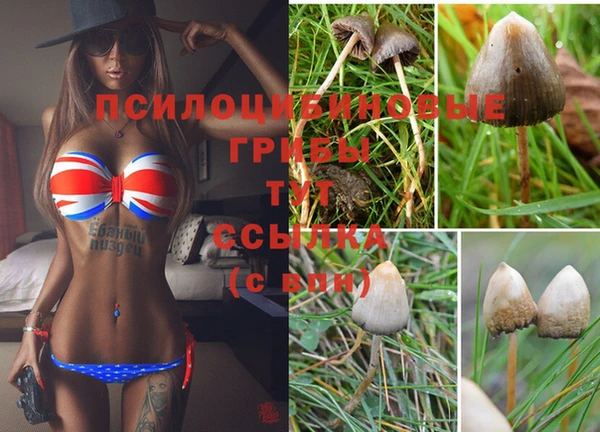 MDMA Абинск