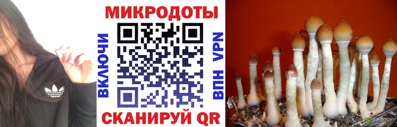 Галлюциногенные грибы MAGIC MUSHROOMS  OMG ONION  Алдан 